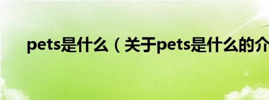 pets是什么（关于pets是什么的介绍）