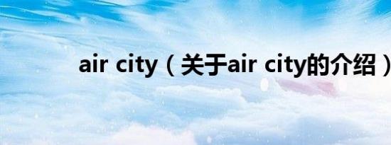 air city（关于air city的介绍）