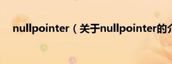 nullpointer（关于nullpointer的介绍）