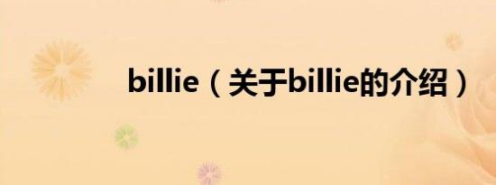 billie（关于billie的介绍）