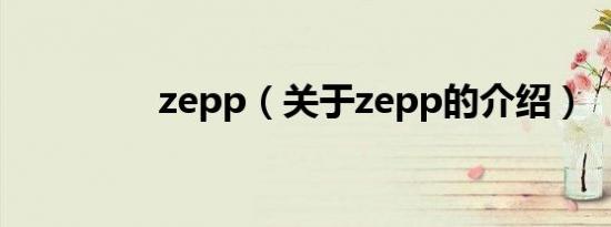 zepp（关于zepp的介绍）