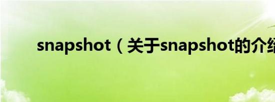 snapshot（关于snapshot的介绍）
