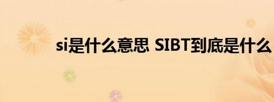 si是什么意思 SIBT到底是什么