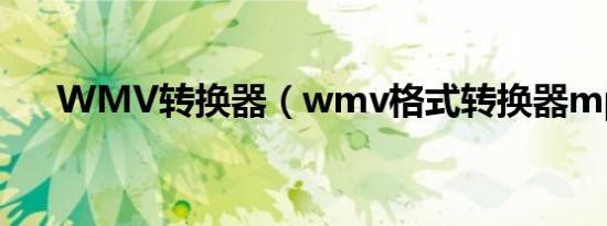 WMV转换器（wmv格式转换器mp4）