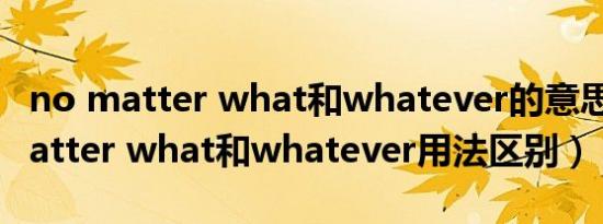 no matter what和whatever的意思（no matter what和whatever用法区别）