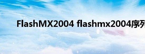 FlashMX2004 flashmx2004序列号