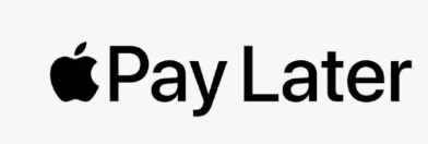 苹果公司申请注册PAY LATER商标当前商标状态为申请中