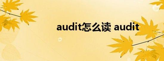audit怎么读 audit