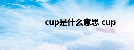 cup是什么意思 cup