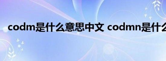 codm是什么意思中文 codmn是什么意思