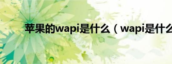 苹果的wapi是什么（wapi是什么）